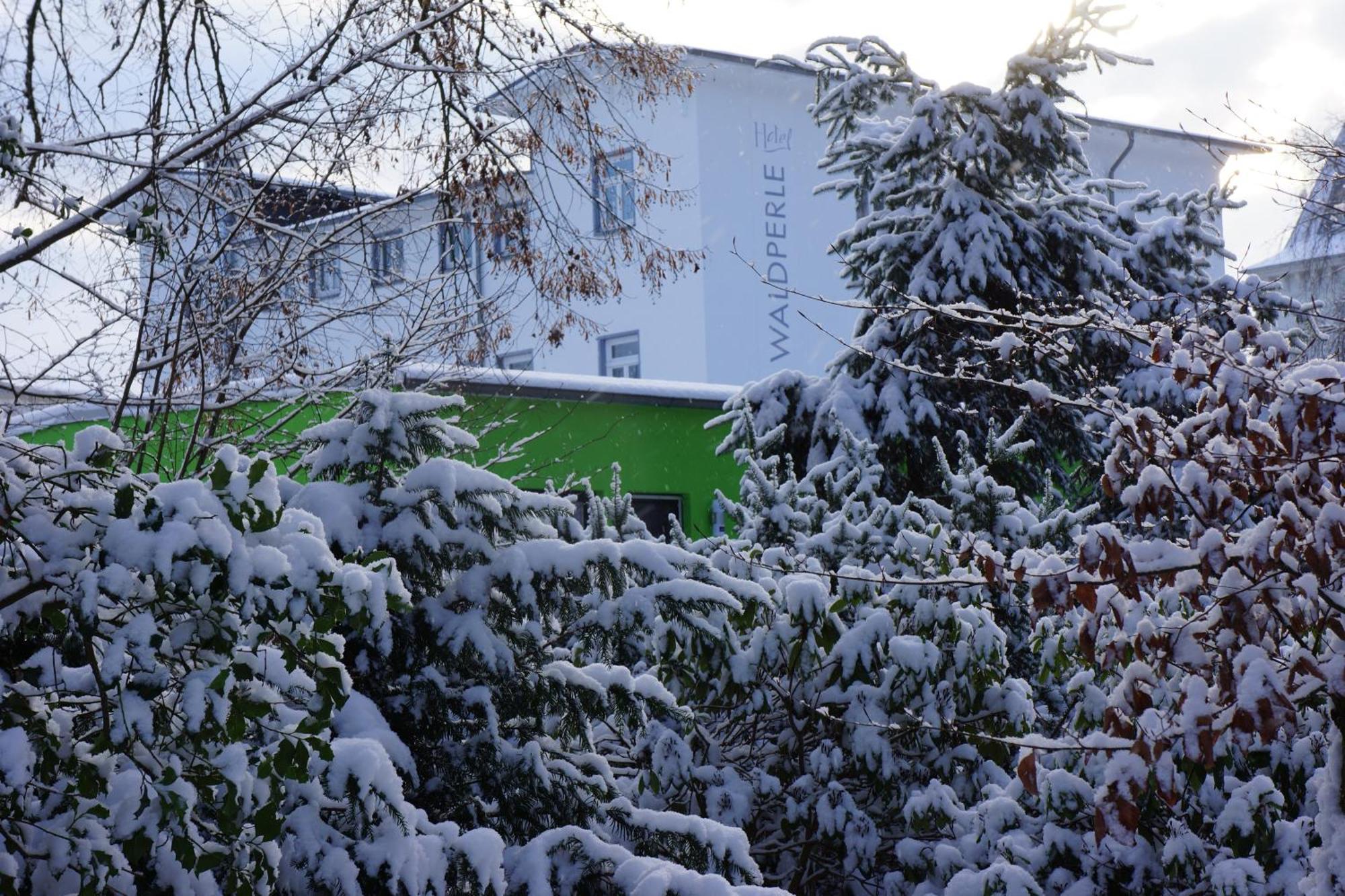Hotel Waldperle Graal-Mueritz Eksteriør billede