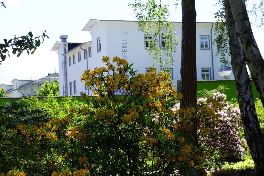 Hotel Waldperle Graal-Mueritz Eksteriør billede