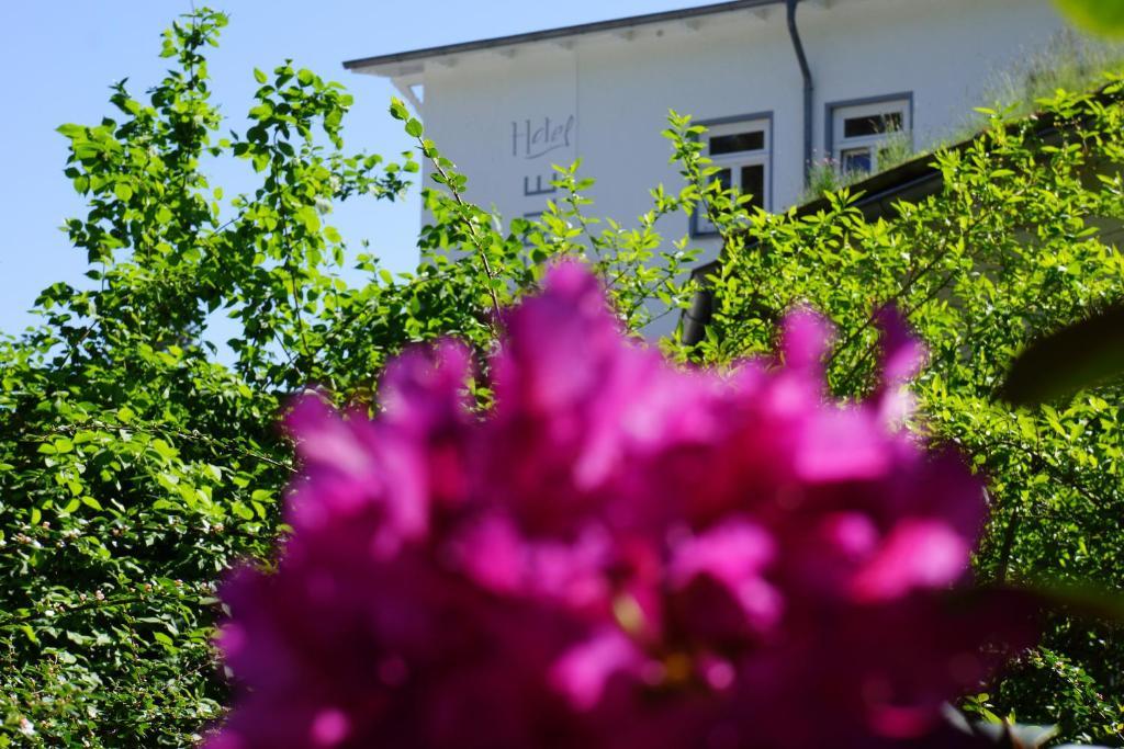 Hotel Waldperle Graal-Mueritz Eksteriør billede